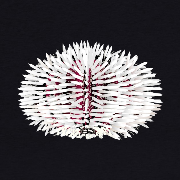 White and red sea urchin animal by FabuleusePlanete